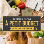Assiette de repas économiques avec légumes frais et protéines