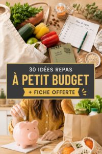 Assiette de repas économiques avec légumes frais et protéines