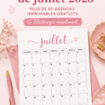 Calendrier imprimable de juillet 2026 avec des espaces pour les notes et les événements