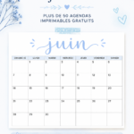 Calendrier imprimable de juin 2026 avec dates et espace pour notes.