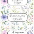 Imprimables colorés pour une gestion de budget efficace