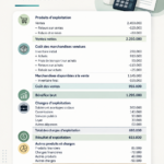 Femme examinant un état de résultat sur son ordinateur, outils de gestion financière autour d'elle.